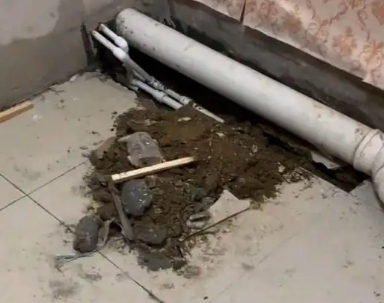 西秀卫生间漏水检测哪家好