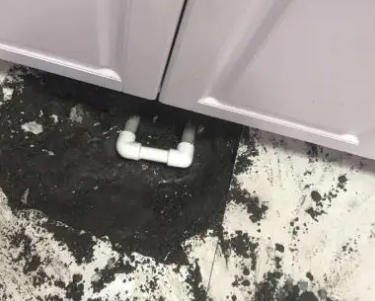 西秀查漏水哪家好